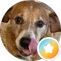 Keith Z Avatar